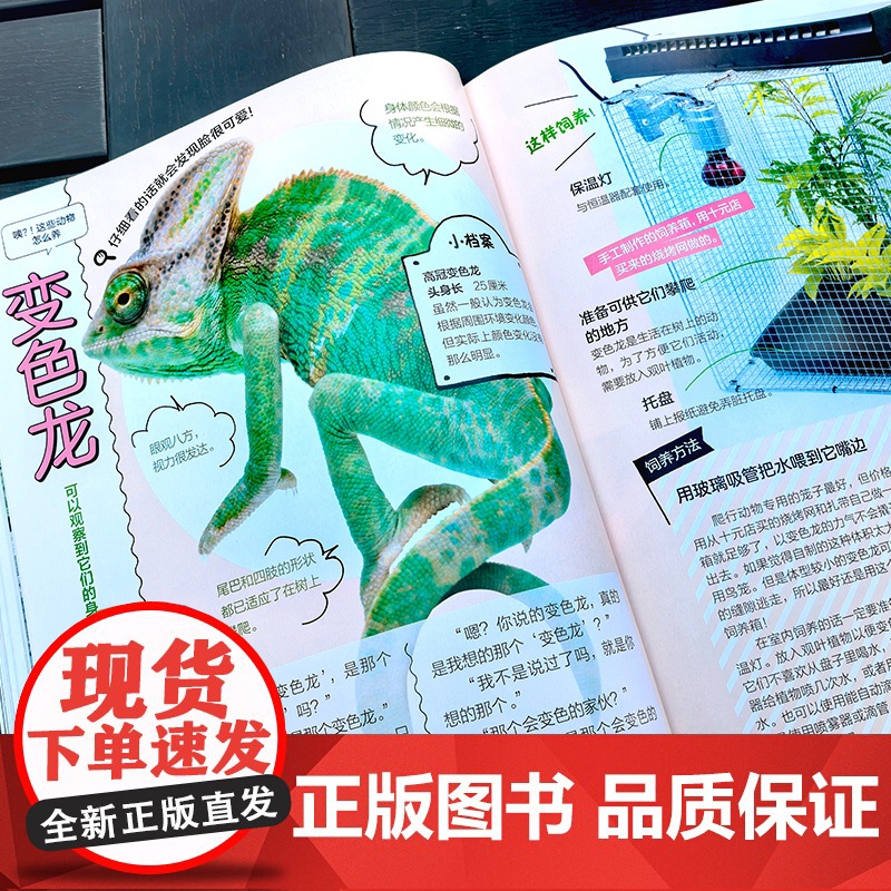 你没想过的小动物系列 怎么饲养它们 小学生的小动物宝典 小学生动物知识图文科普读物 儿童动物知识兴趣启蒙亲子阅读图文科普高清大图