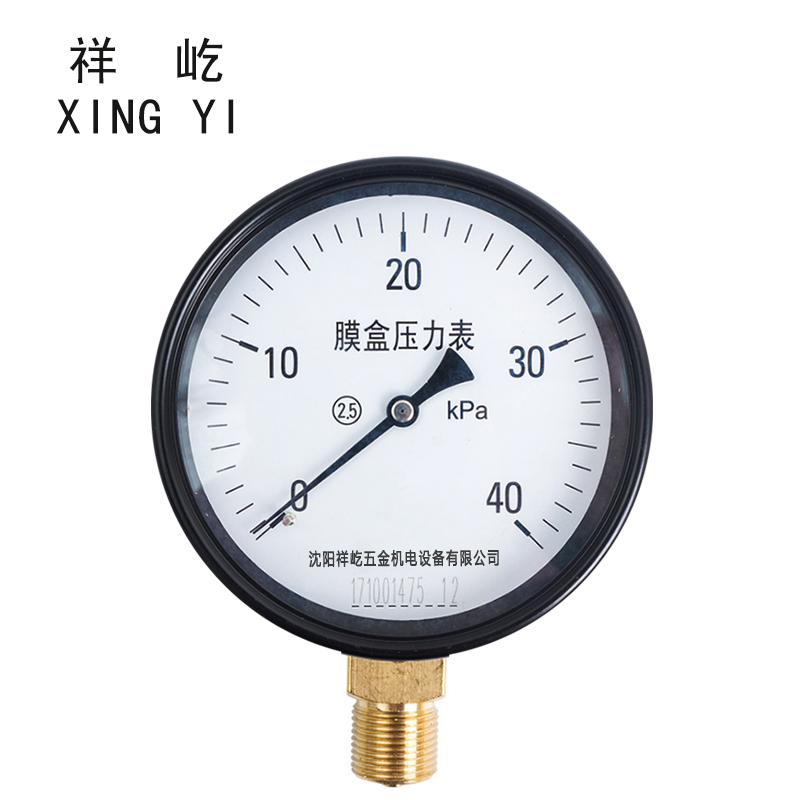 祥屹 膜盒压力表 YE100(量程请备注) 块 YE100(量程请备注)