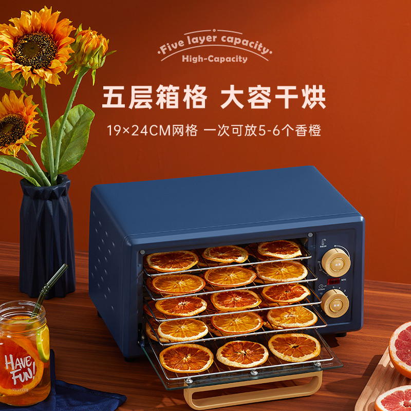 金正(NiNTAUS)干果机家用小型食品风干机水果蔬菜脱水机肉类花茶药材宠物零食品肉干鱼干干果蔬食物烘干机 R3蓝色