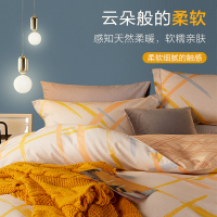 博洋家纺 磨毛四件套全棉纯棉冬季加厚床上用品秋冬被套厚床单被单