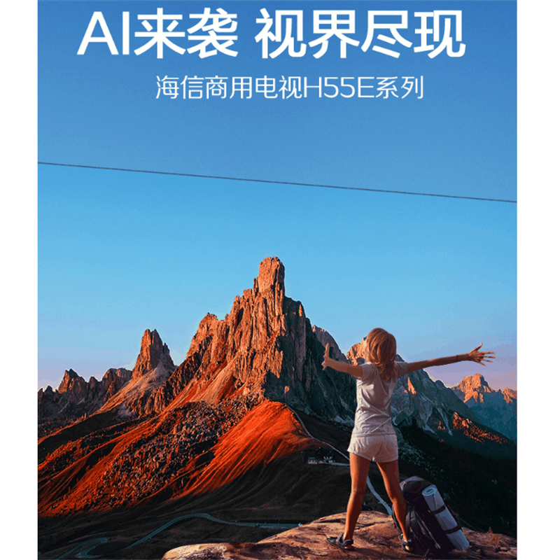 海信(Hisense) 65H55E 智能液晶平板电视 65英寸 超高清 4K家用商用电视图片