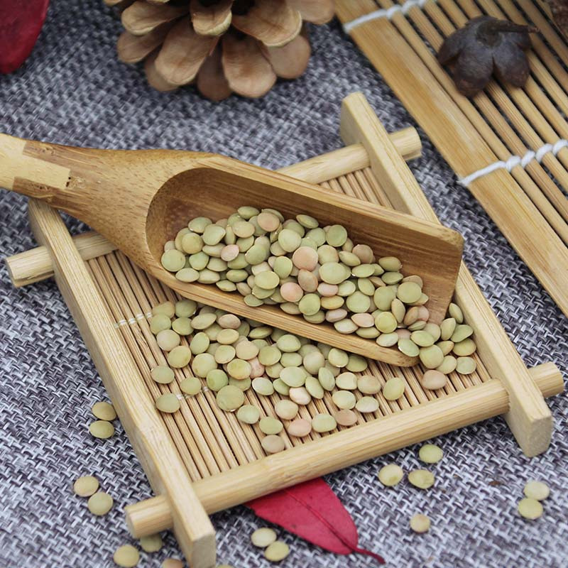 小扁豆甘肃特产扁豆480g罐装五谷杂粮西北兵豆农家绿扁豆子可生扁豆芽