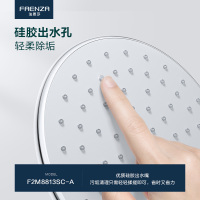 法恩莎卫浴 淋浴花洒套装组合家用龙头淋雨喷头暗装F2M8813SC-A三功能出水花洒