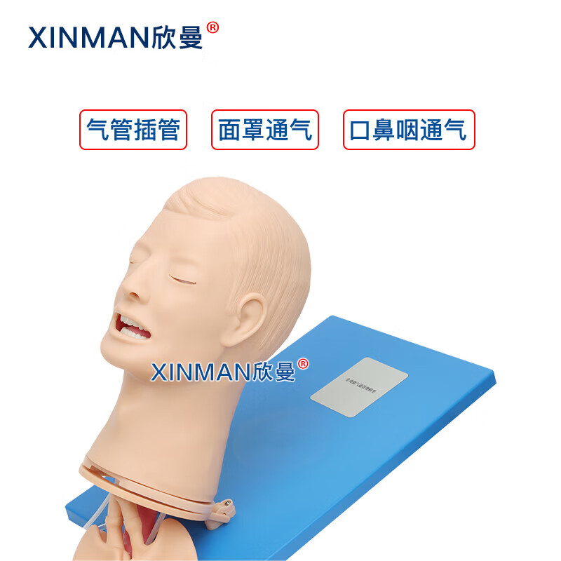 欣曼科教 高级全功能气道管理模型 高级气道管理模拟人XM-QD11高清大图