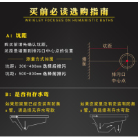 ARROW箭牌家用 陶瓷 蹲便器 水箱套装后大便池 存水弯防臭蹲厕 大冲力水箱 防滑蹲坑套装