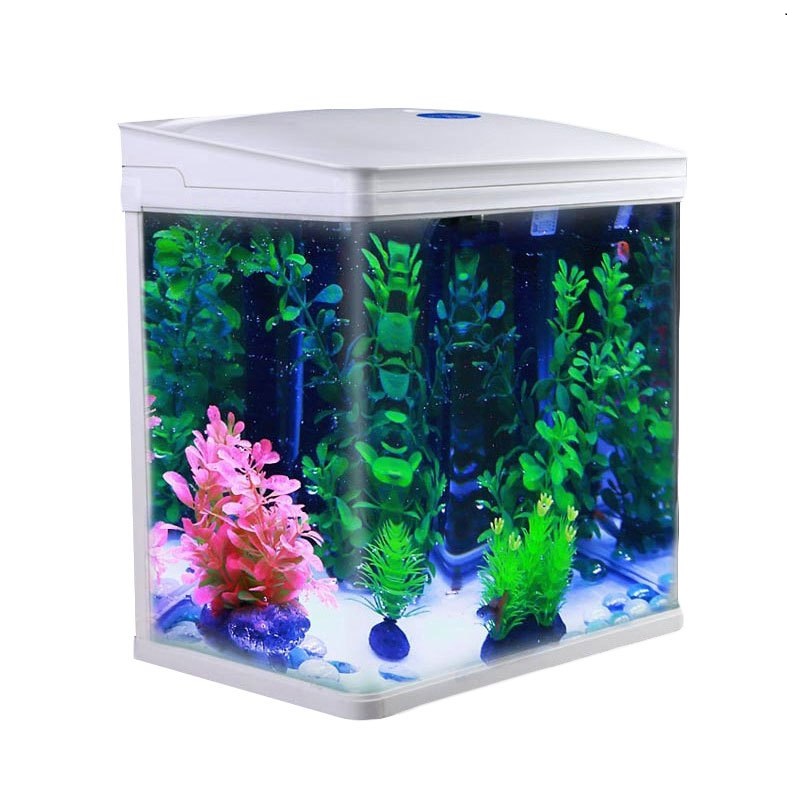 鱼缸客厅乌龟缸水族箱生态造景迷你缸金鱼缸小鱼缸办公桌家用小型高清大图