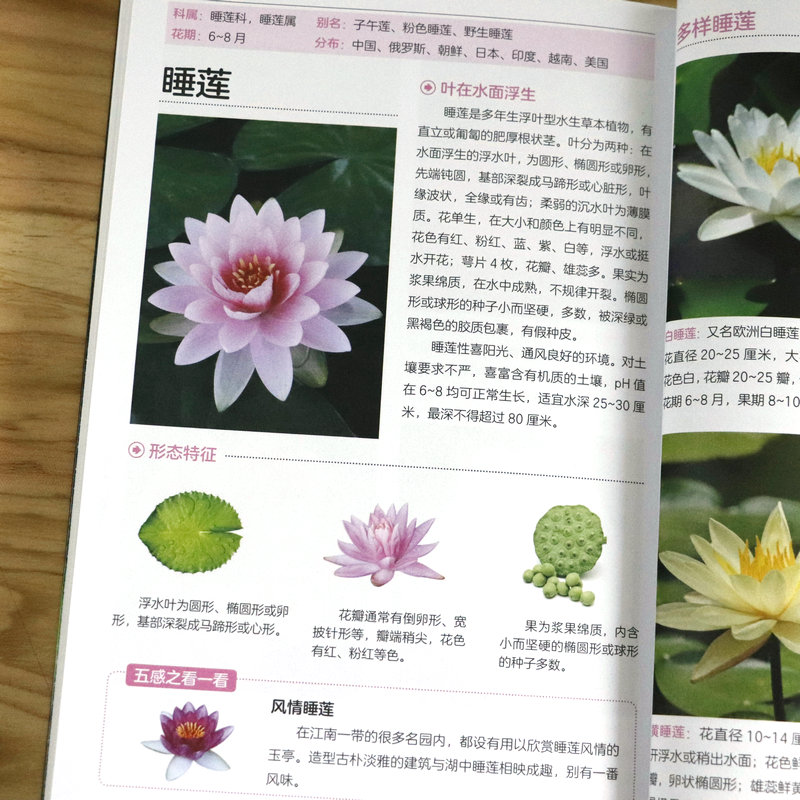 [正版]2册 209种常见花草图鉴+新手入门轻松辨识常见树木图鉴 家庭种花养花鉴赏速查图鉴认识常见花草植物花卉书籍高清大图