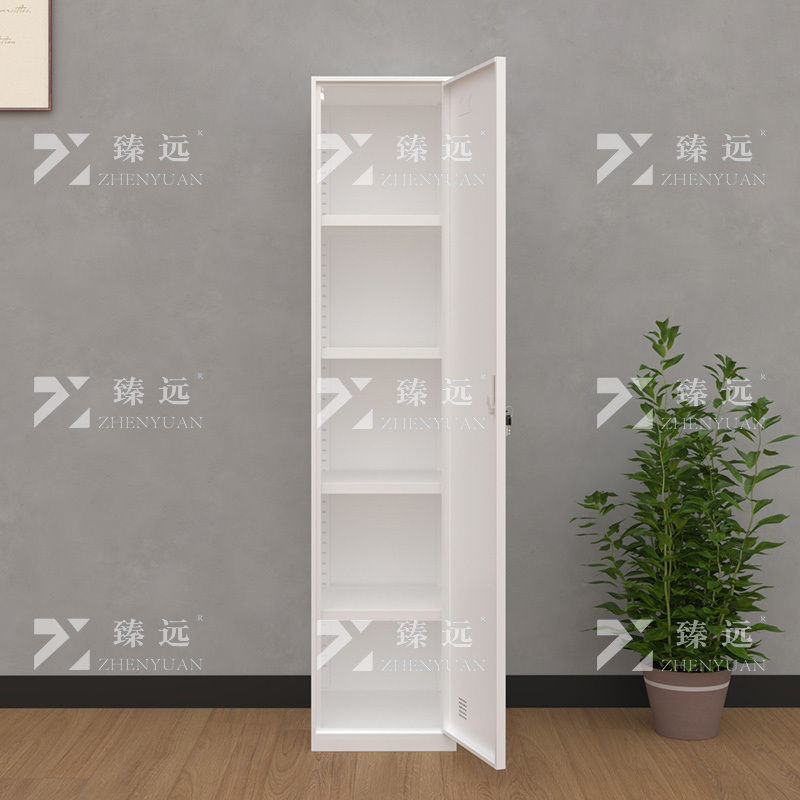 臻远 ZY-GYGC-28 窄边书柜资料柜铁皮文件柜 单一门