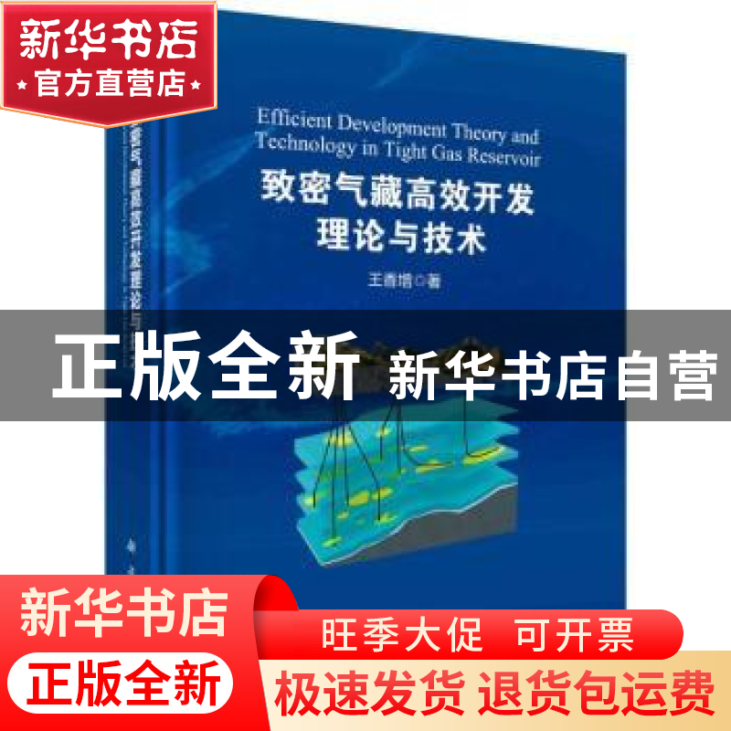 正版 致密气藏高效开发理论与技术 王香增 科学出版社 9787030654