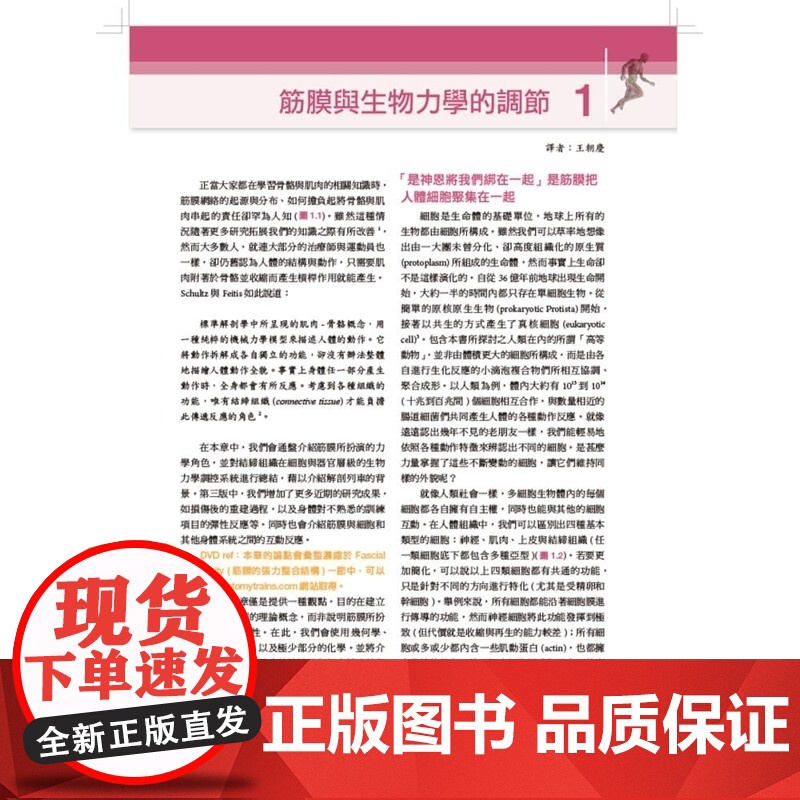 []港台原版 解剖列车-针对徒手及动作治疗师的肌筋膜筋线(第三版) Thomas W. Myers 台湾爱思唯尔高清大图