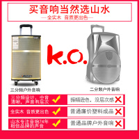 山水SG2-15 户外广场舞音响移动便携式拉杆音箱大功率重低音舞台演出直播带无线蓝牙话筒木质专业音箱15寸