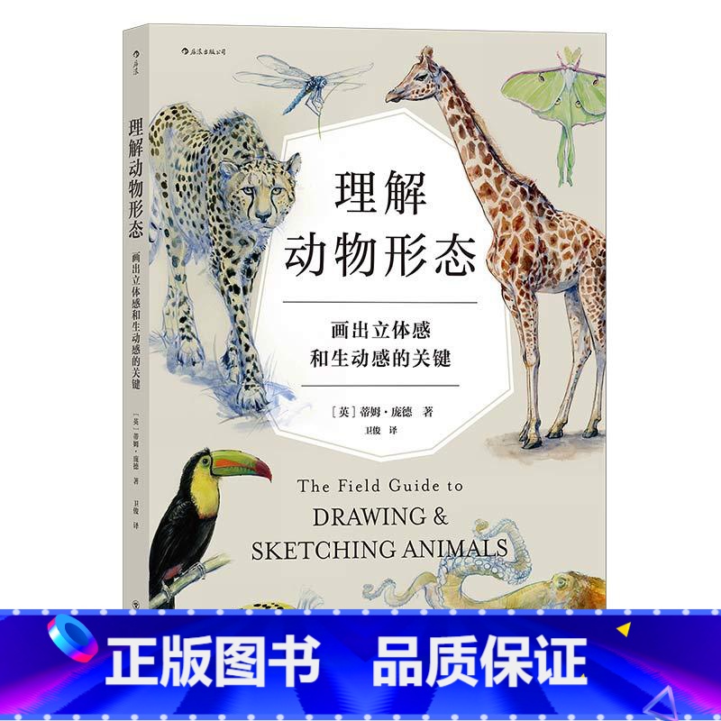 【正版】赠素描本 理解动物形态 画出立体感和生动感的关键 从零学习各物种的肌肉解剖和骨骼系统 动物绘画教程