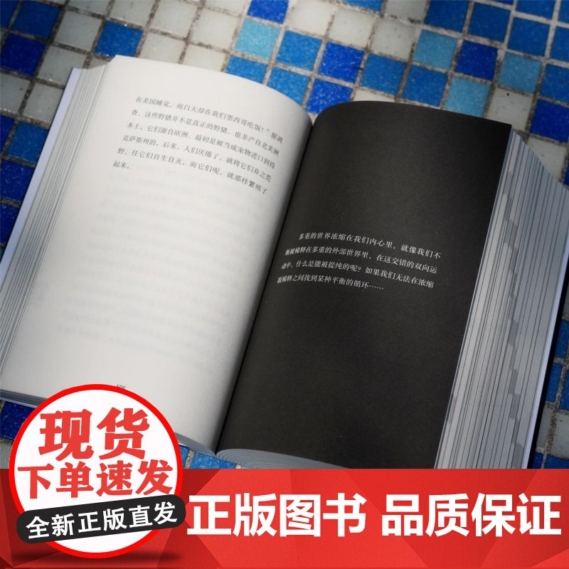 亲签版]积木书 收获文学排行榜 豆瓣年度榜单 单向街书店文学奖入选作家赵松代表作品数百个短章还原当代人的时时刻刻 中信出高清大图