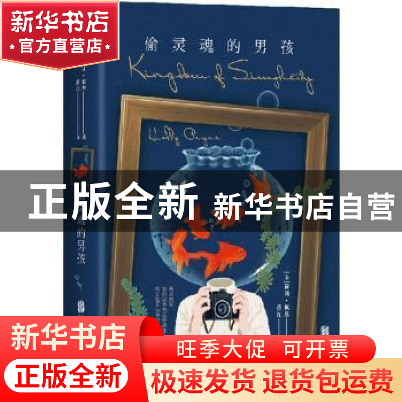 正版 偷灵魂的男孩 【美】 荷莉·佩恩 北京联合出版公司 9787550254