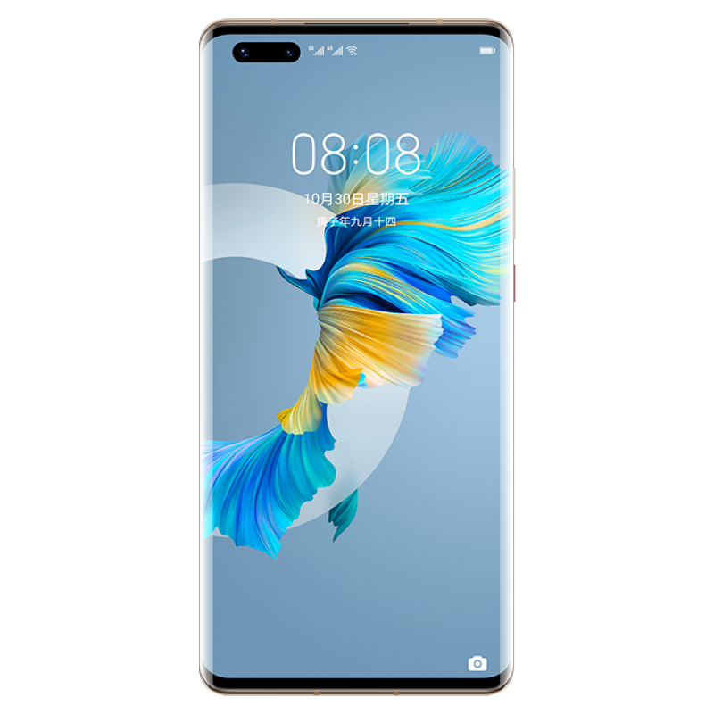华为/HUAWEI Mate40 Pro 5G 8GB+256GB 秋日胡杨 麒麟9000 SoC芯片 超感知徕卡电影影像 有线无线双超级快充 全网通手机(含充电器及数据线)