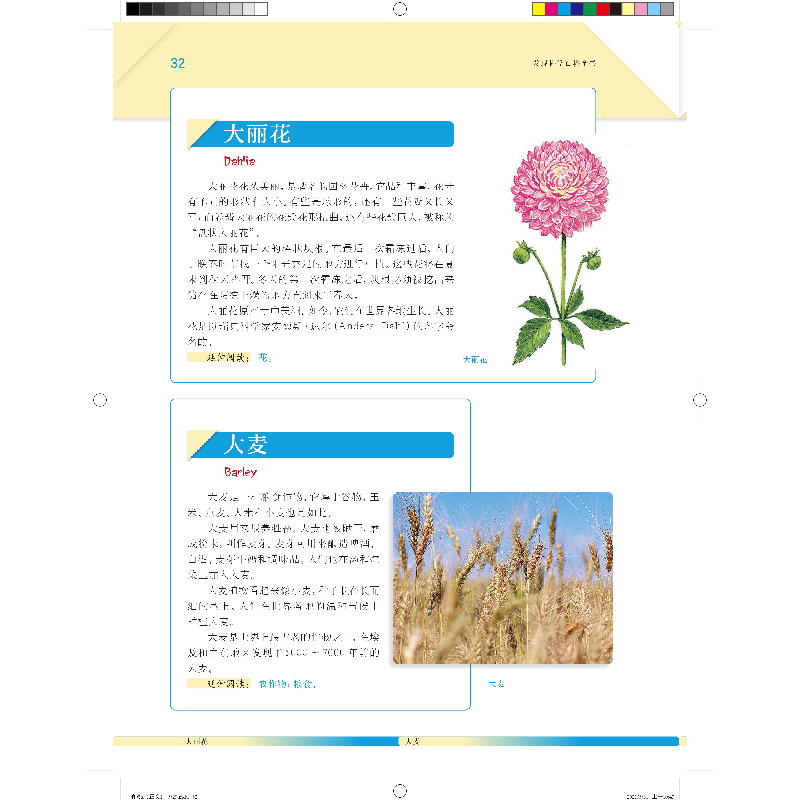 醉染图书植物(发现科学百科全书)9787532655014高清大图