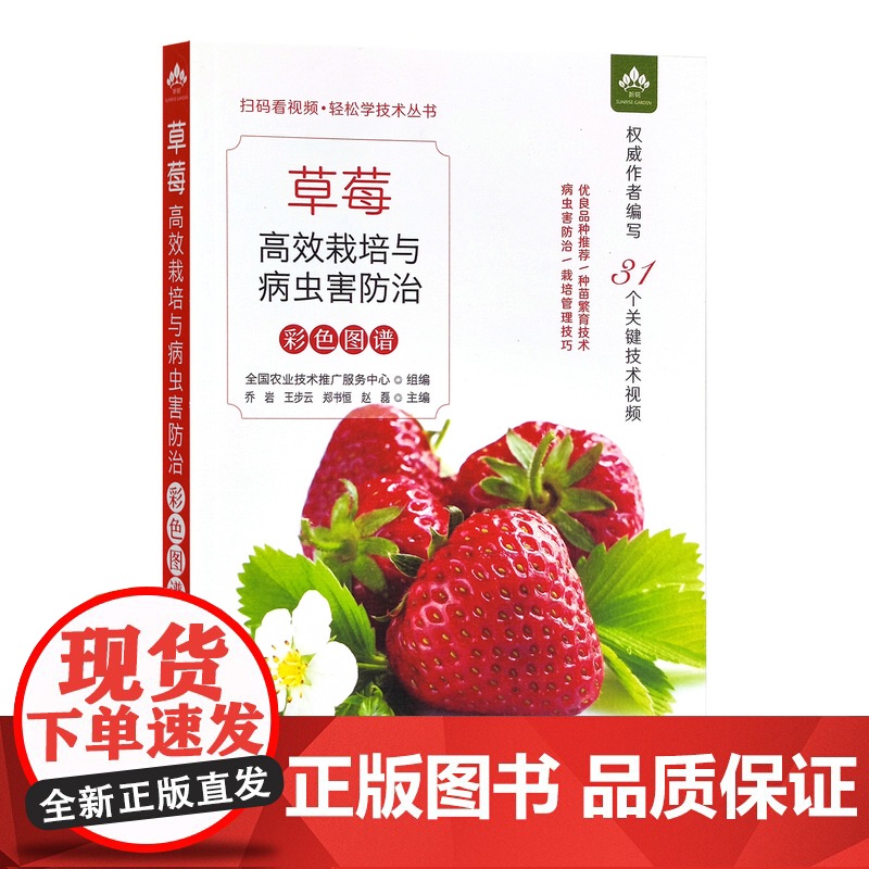 草莓高效栽培与病虫害防治彩色图谱(扫码看视频?轻松学技术丛书) 30052-1 定价58高清大图