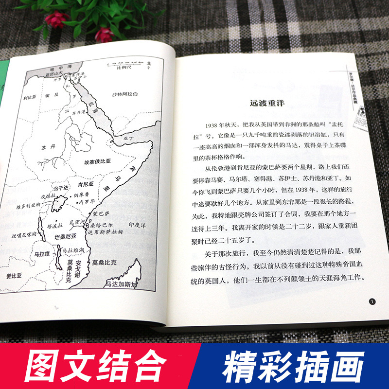 [醉染正版]正版 独闯天下 罗尔德达尔作品典藏 7-12岁儿童文学幻想故事书籍三四五六年级课外书小学生成长小说 好小子童
