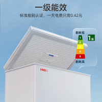 星星(XINGX)BD/BC-303QE家用小型冰柜 卧式冷柜预涂内胆单温厨房商用保鲜设备303升自动减霜1级能效