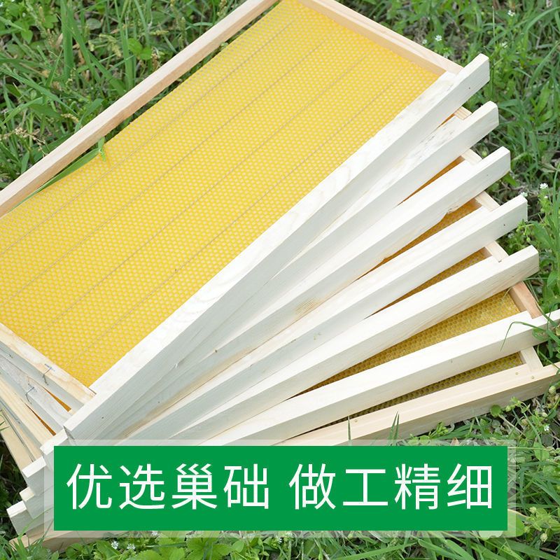 杉木成品带框巢础中蜂意蜂巢础巢脾10片装蜂蜡蜂脾蜜蜂巢养蜂