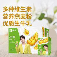 (2月产)蒙牛 早餐奶麦香味利乐包250ml×16盒