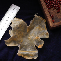[古九珍]鱼胶花胶 蝴蝶鱼胶 100克约3头装 正品鳘鱼肚 干货鳔正品鳖 鱼肚鱼鳔 干货孕妇月子