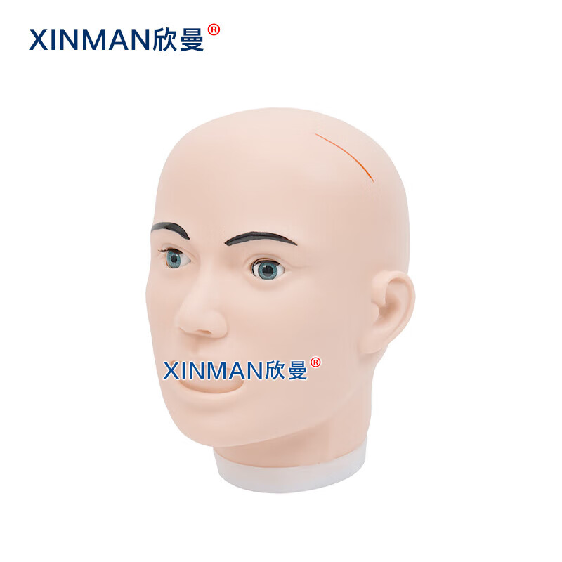 欣曼科教 清创缝合头部训练模型XM-WL300高清大图