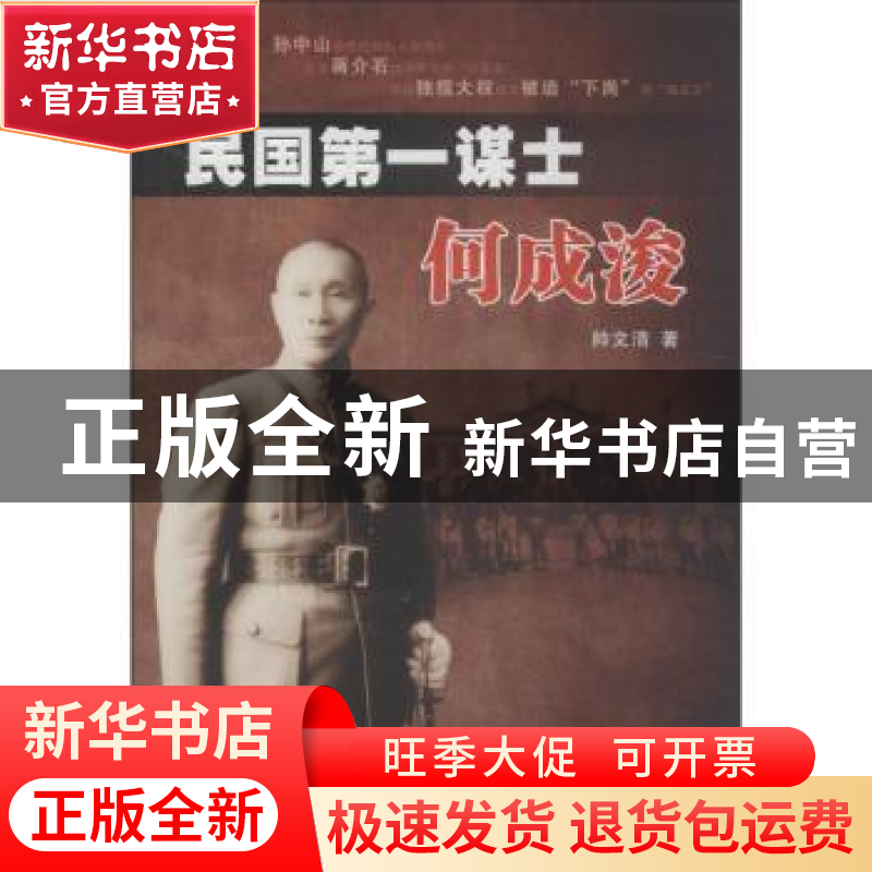 正版 民国第一谋士何成浚 帅文清著 湖北人民出版社 978721608144