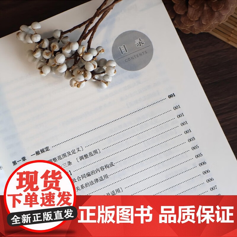 2025新书《民法典》合同编通则合同实务解读及应用 吴江水 著 北京大学出版社 9787301358443高清大图