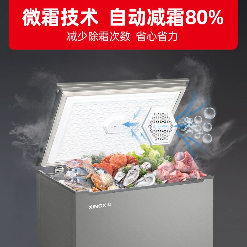 星星(XINGX)BD/BC-145KV商用家用小型两用柜单温冷藏冷冻转换一级能效高效减霜80%图片