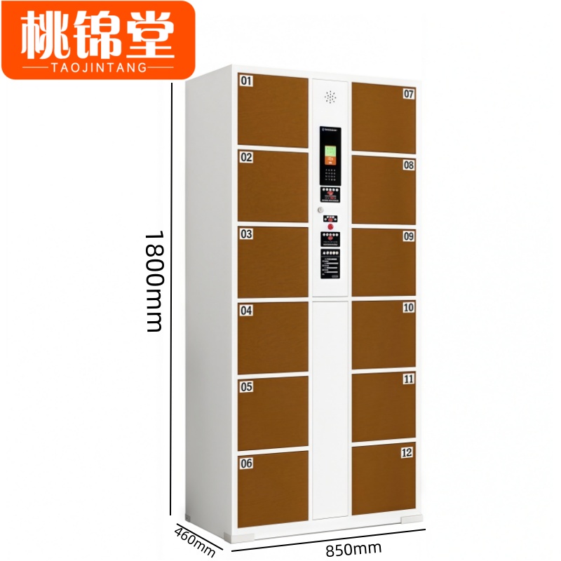 桃锦堂存包柜 储物柜12门台