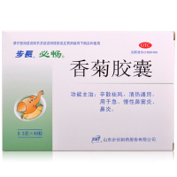 步长 香菊胶囊0.3g*48粒/盒 清热通窍急慢性鼻炎鼻窦炎