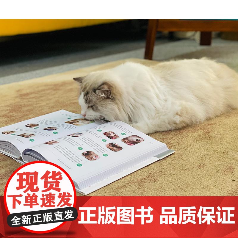 猫咪家庭医学大百科全新修订版 林政毅电子工业出版社养猫实用工具书养猫书宠物猫科学喂养猫咪常见疾病预防诊治书爱猫养护手册高清大图