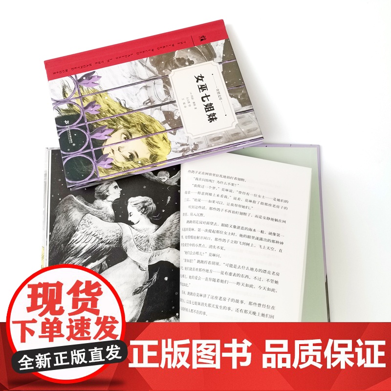 女巫七姐妹(奇想文库第二辑 精装 中年级适读 普利策戏剧奖获得者玛丽·蔡斯倾心之作)高清大图
