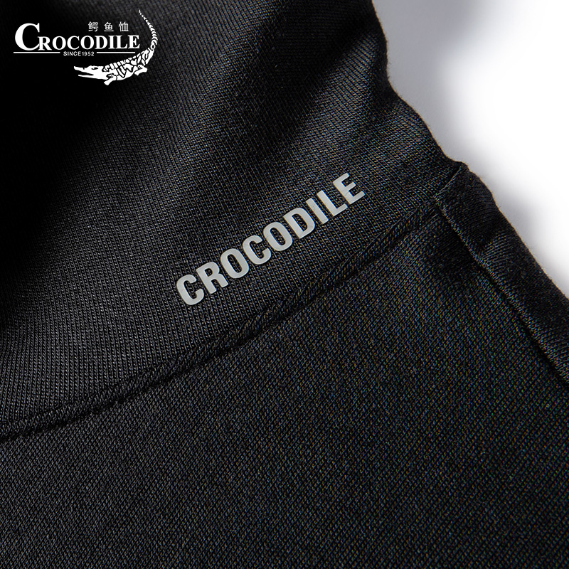 鳄鱼恤CROCODILE 中青年男士中高领气质商务长袖T恤上衣高清大图