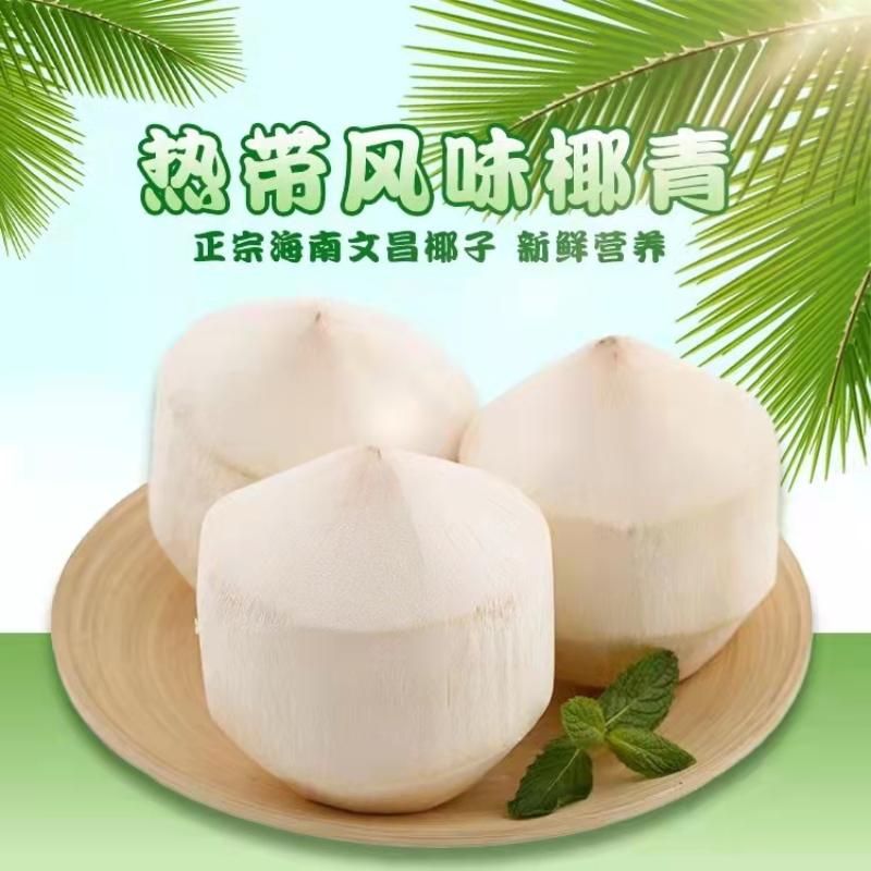 (送开椰器)海南椰青新鲜椰子6个大果装(单果1000g)去皮香水椰孕妇水果高清大图