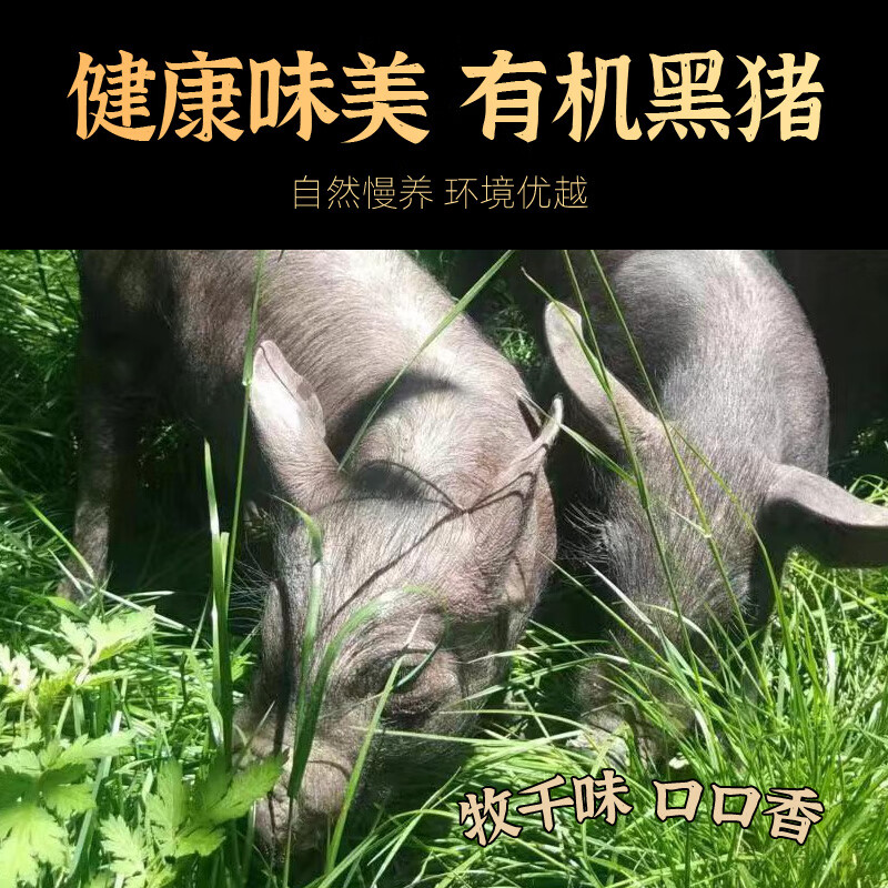 牧千味 有机黑猪肉 纯然798型高清大图