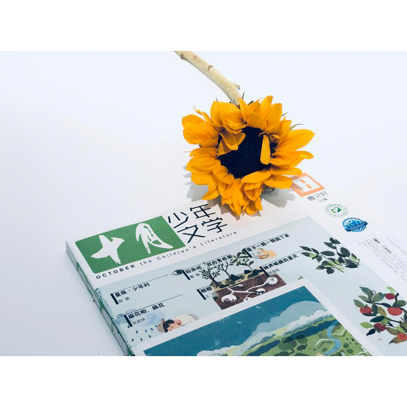 十月少年+好奇号 24年2月-25年1月 [正版]十月少年文学2024年刊订阅12期8-15岁儿童期刊杂志课外阅读曹文轩