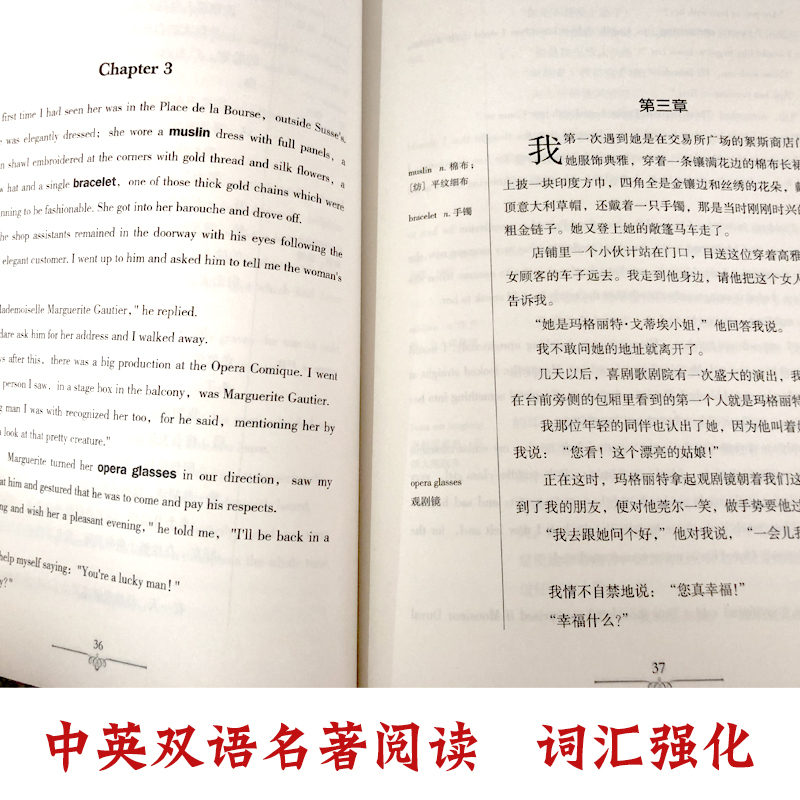 [中英互译]了不起的盖茨比 [正版]世界十大名著全套中英文10册简爱傲慢与偏见飘巴黎圣母院悲惨世界呼啸山庄茶花女复活红与