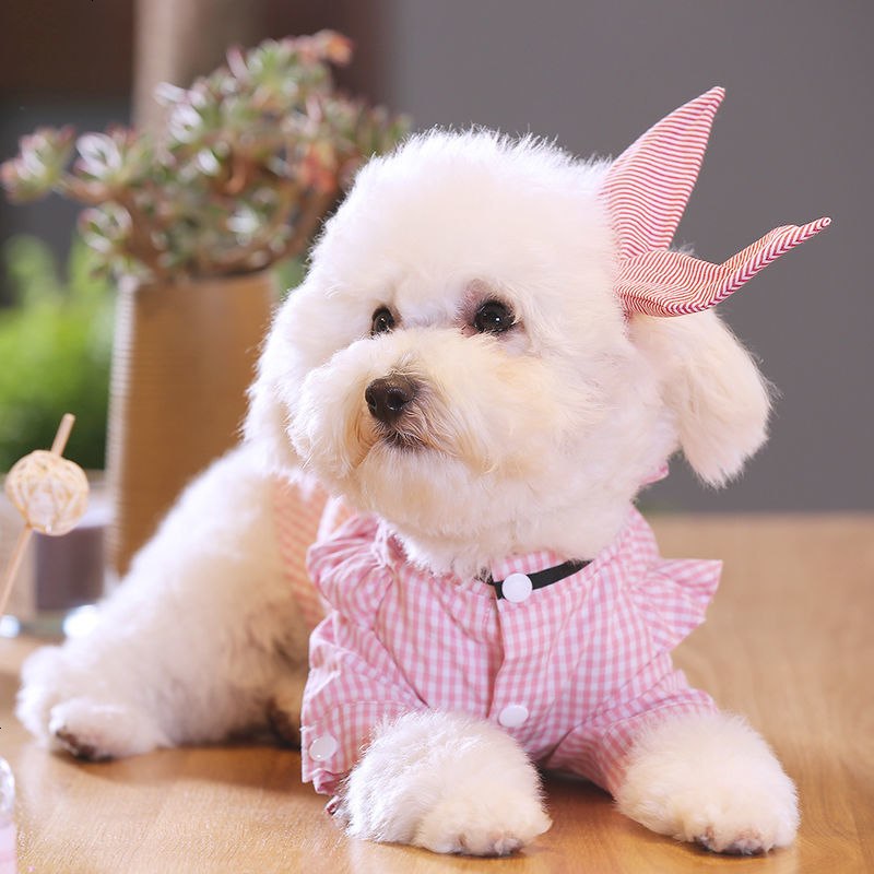小狗狗衣服泰迪比熊博美夏装薄款小型犬宠物夏天可爱公主夏季衬衫