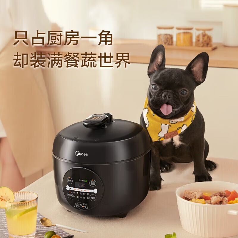 美的(Midea)电压力锅MY-YL25E331高清大图