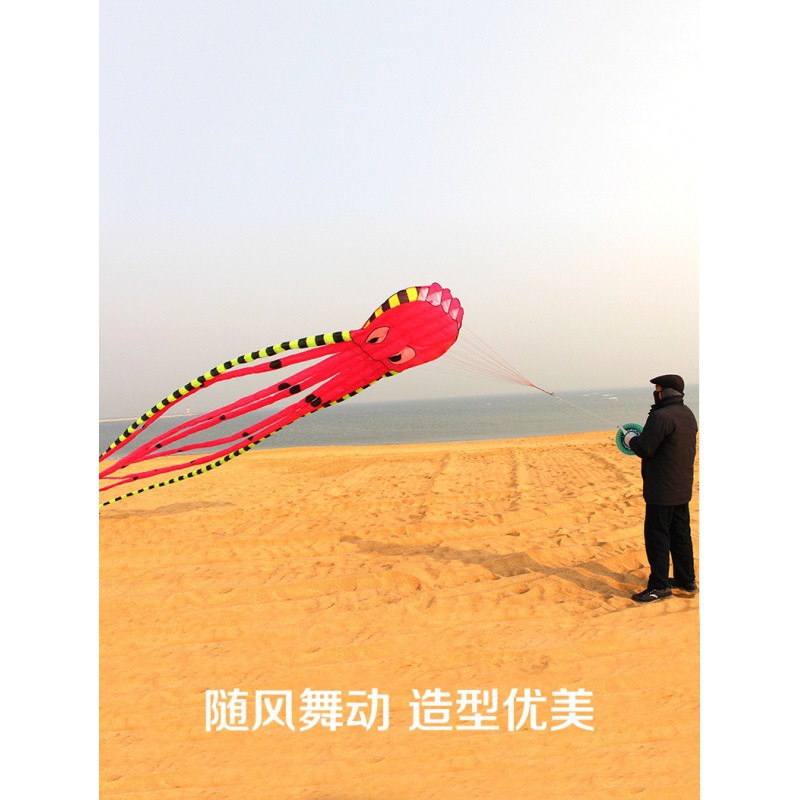 潍坊风筝 8米立体筒尾大章鱼风筝新款大型成人软体易飞大风筝创意 三维工匠 米白色蓝章26大轴蓝四线高清大图