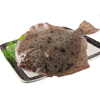 比目鱼 多宝鱼 平鱼 鸦片鱼 鲆鱼 鲽鱼 大牙片鱼 航空运输1KG