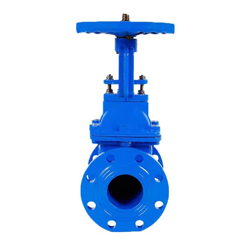 冰城同祥 铸铁软密封闸阀 Z41X-16Q DN40 台高清大图