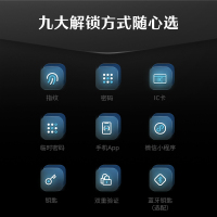 德施曼小嘀Q3E智能门锁全自动指纹锁密码锁2024年新品