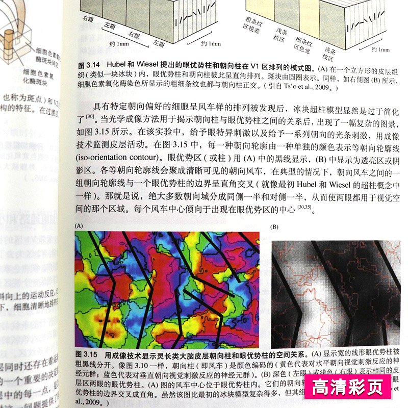 [醉染正版]正版 神经生物学从神经元到脑 原书第五版 意 尼克尔斯尼,杨雄里译 生命科学 生物学心理学和医学参考书教辅书高清大图