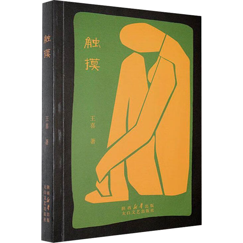 正版新书]触摸王喜 著9787551326261高清大图