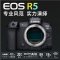 佳能(Canon)EOS R5 全画幅专业微单数码相机 单机身/不含镜头 4500万像素 8级防抖 8K视频拍摄 WIFI分享 Vlog照相机