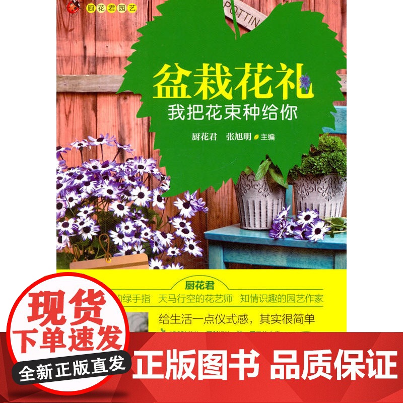 盆栽花礼 我把花束种给你高清大图