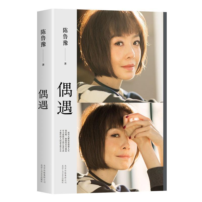 偶遇 陈鲁豫 著 著 文学 文轩网